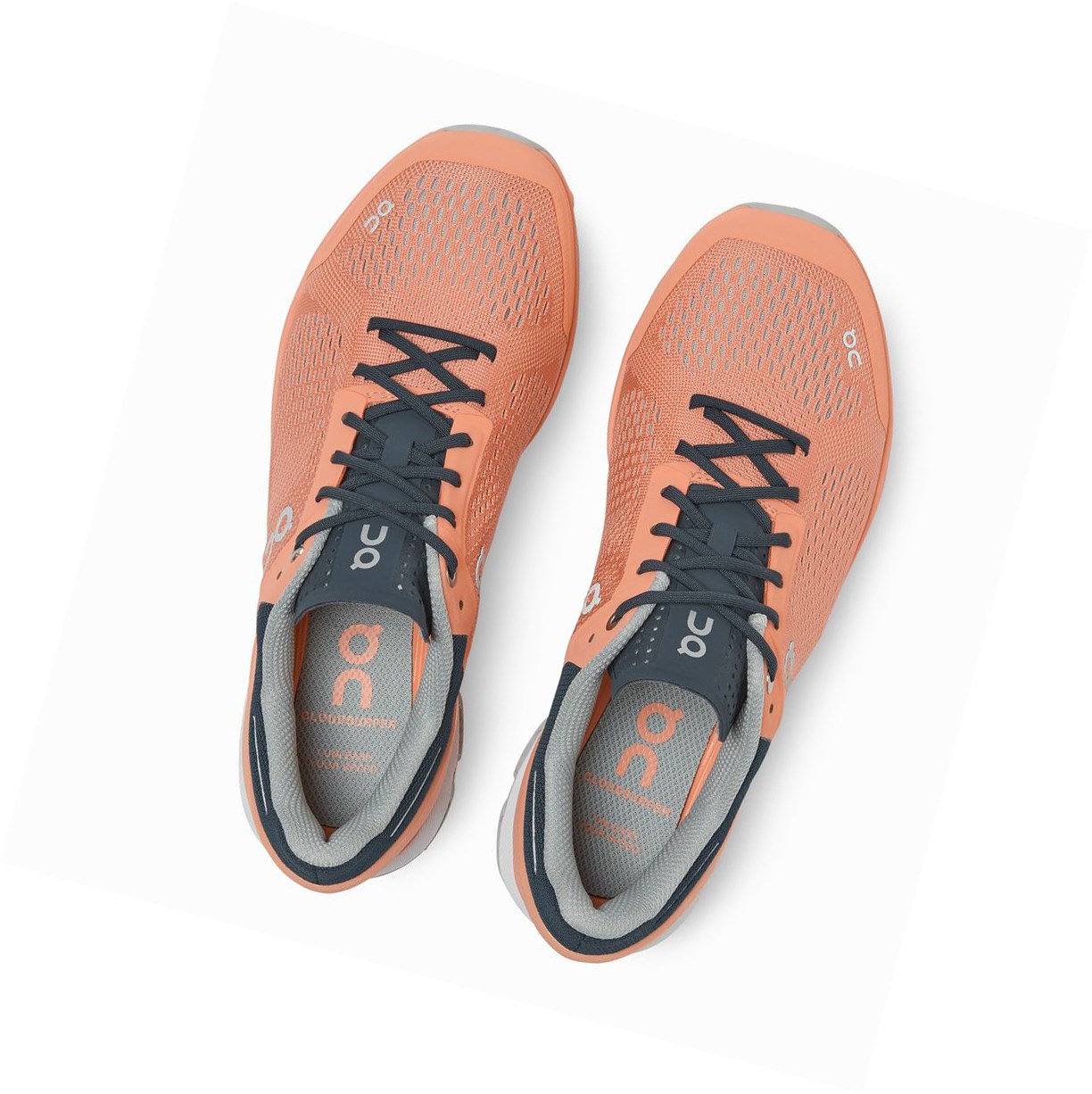 Buty Treningowe Damskie On Cloudsurfer Koralowe Granatowe | 953817-KEO